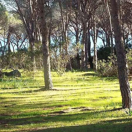 A 10 Posti Letto Piscina Privata Nyaraló *