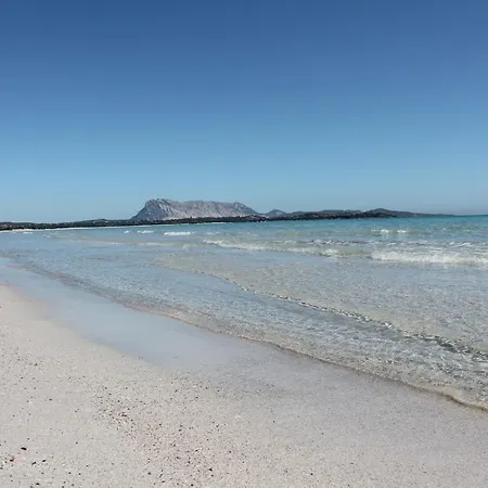 A 10 Posti Letto Piscina Privata * Budoni